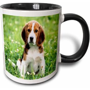 3dRose mug_55198_4 "For Love Of A Beagle" Two Tone Black Mug, 11 oz, Multicolor