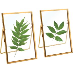 TLBTEK 2 Pcs 5x7 inch Desk double glass Photo frames kit,Gold brass metal Picture Frame vertical for Pressed Flowers,Clear DIY Vintage Artwork Display Frame