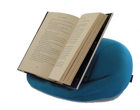 Renegade Concepts: Lap PRO - حامل/صينية Universal Beanbag Lap Stand ملحق للكمبيوتر اللوحي iPad وAcer وNexus وجميع أجهزة Android اللوحية وأجهزة القراءة الإلكترونية والكتب وأجهزة Google (أحمر)- in Kuwait