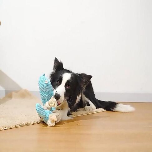 Tough Plush Animal Dog Toys Dog Squeaky Toys Puppy Pet Assortment Dog Toy Dog Bear Design Squeak Toy for Small Medium Large Dogs in Kuwait