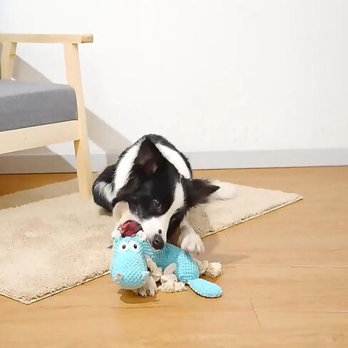 Tough Plush Animal Dog Toys Dog Squeaky Toys Puppy Pet Assortment Dog Toy Dog Bear Design Squeak Toy for Small Medium Large Dogs in Kuwait