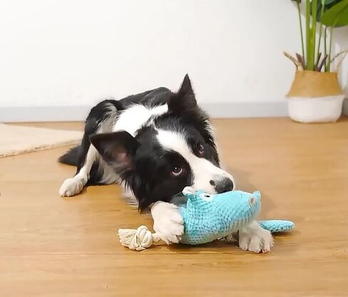 Tough Plush Animal Dog Toys Dog Squeaky Toys Puppy Pet Assortment Dog Toy Dog Bear Design Squeak Toy for Small Medium Large Dogs in Kuwait