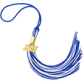 2025 Graduation Tassel, 2025 Graduation Cap Tassel, 2025 Tassel With 2025 Year Gold Date Charms for Graduation Cap, Graduation Party Decorations 2025, Charm Ceremonies Accessories for Graduates, Black
