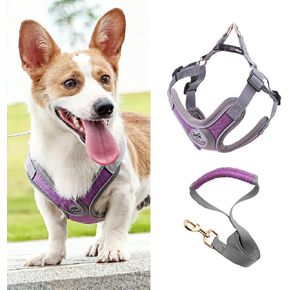 PT-09 Pet Dog Puppy No-Pull Harness Walking Training Harness with Leash Reflective Vest (Blue, Large)