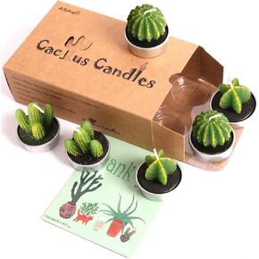Succulent Candles Cactus Candle Tealight,Christmas Gift Candles,Housewarming Favors for Guests,Bridal Shower Candles Favors,Baby Succulents Favors Baby Shower,Home Decors (6 Pcs in Gift Box)