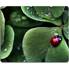 Ladybug Sitting Clover green three leaf insect water dew Mouse Pads Customized Made to Order Support Ready 9 7/8 Inch (250mm) X 7 7/8 Inch (200mm) X 1/16 Inch (2mm) Eco Friendly Cloth with Neoprene