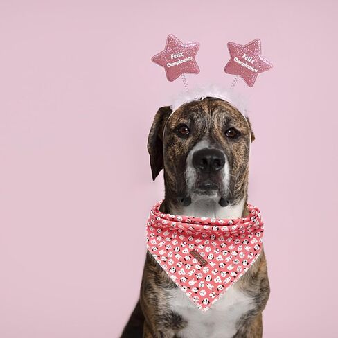 Elegant little tail Independence Day Dog Bandana, 1PC Washable Dog Scarf Female or Male Square Dog Bib Kerchief Scarf Adjustable Pet Bandana for Medium Large Dogs in Saudi Arabia