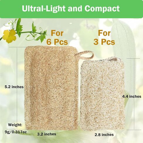 Natural Loofah Kitchen Sponge (3 Pcs) No Scratch Scrubber for Dishwashing, 100% Plant Fibers Vegetable Scrubber, Zero Waste and Eco Friendly Loofa, Square, Standard Size in Saudi Arabia