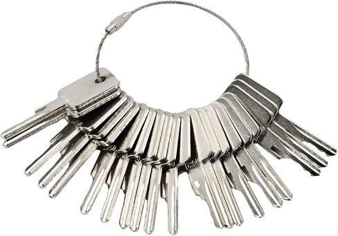 Ignition Keys D250 6693241 6709527 A77313 307852A1 4 PCS for Bobcat Skid Steer Loader S130 S175 S220 S300 S450 S550 A220 T140 T10 T250 T300 T590 T650 730 742 763 843 864 963 310 440 540 in Saudi Arabia