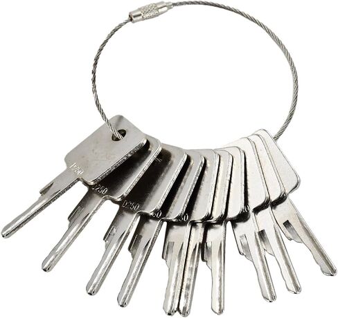 Ignition Keys D250 6693241 6709527 A77313 307852A1 4 PCS for Bobcat Skid Steer Loader S130 S175 S220 S300 S450 S550 A220 T140 T10 T250 T300 T590 T650 730 742 763 843 864 963 310 440 540 in Saudi Arabia
