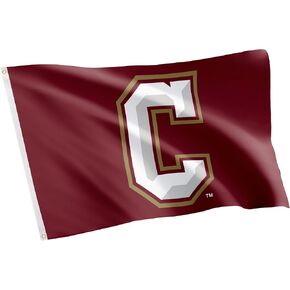 Desert Cactus College of Charleston Flag Cougars C of C Flag Banners 100% Polyester Indoor Outdoor 3x5 feet Flags (Style 1)