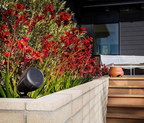 Polk Audio Atrium 4 Outdoor Speakers with Powerful Bass (Pair, White), All-Weather Durability, Broad Sound Coverage, Speed-Lock Mounting System in Saudi Arabia