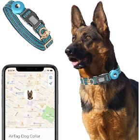 Pro Livin Dog Collar with Airtag Holder - Puppy Collar, Small Dog Collar, Medium & Large Dog Collar - Essential for Modern Pet Owners - Versatile for All Dog Sizes. (Black, M)