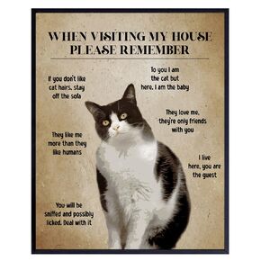 Cat Wall Art funny Sayings - Cat House Decor, Cat Stuff - Farmhouse Living room Cute Cat Decorations - Cat Themed Gifts for Women, Cat Lady - Cat Mom funny Quotes Wall Decor - small Apartment Cat Sign