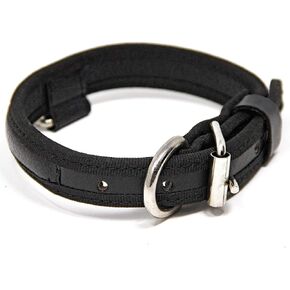 Premium Leather Dog Collar - Best Full Grain Heavy Duty Genuine Leather Collar (Orange, Medium)