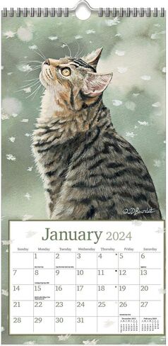 LANG Cats In The Country 2024 تقويم حائط عمودي (24991079115) in Saudi Arabia