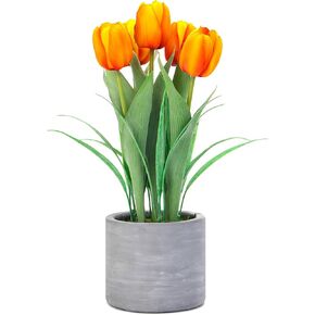 Jusdreen 1 Pot Artificial Potted Tulips Flowers with Cement Vase Vivid Tulip Flowers Arrangement for Home Office Décor House Decorations 12.6 INCH (Orange Tulips)