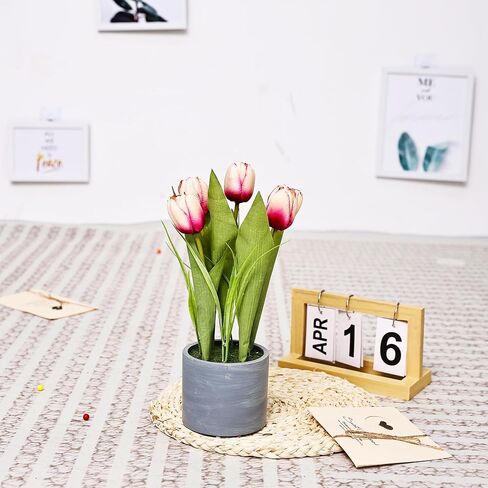 Jusdreen 1 Pot Artificial Potted Tulips Flowers with Cement Vase Vivid Tulip Flowers Arrangement for Home Office Décor House Decorations 12.6 INCH (Orange Tulips) in Saudi Arabia