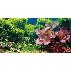 AWERT 24x12 inches Aquatic Plant Aquarium Background River Bed & Lake Fish Tank Background Vinyl