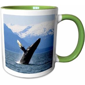 3dRose mug_21600_1 Humpback Whale Tosses and Turns in The Lynn Canal Southeastern Alaska Ceramic Mug, 11-Ounce