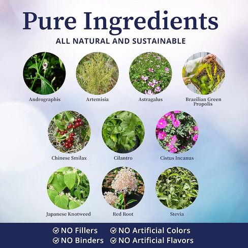 BioPure Cocktail Liposomal Herbal Blend – Potent Formulation of Immune Supportive Tinctures with Phosphatidylcholine to Support Microbial Balance, Effective Lymphatic Circulation & More – 2 fl. oz. in Kuwait