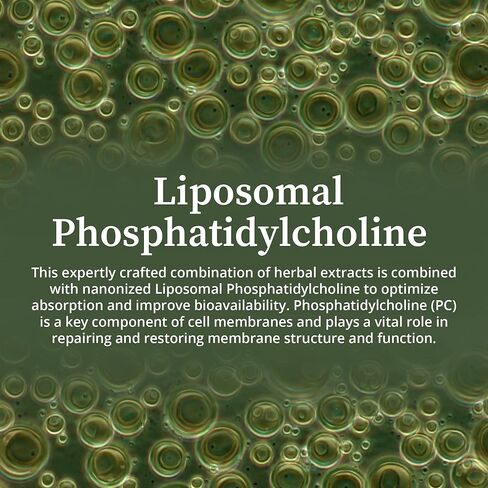BioPure Cocktail Liposomal Herbal Blend – Potent Formulation of Immune Supportive Tinctures with Phosphatidylcholine to Support Microbial Balance, Effective Lymphatic Circulation & More – 2 fl. oz. in Kuwait