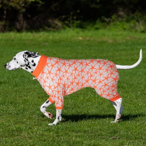 LovinPet كلب كبير PJS، حماية من الأشعة فوق البنفسجية، نيسيس الكلب لتخفيف قلق الحيوانات الأليفة، مريح للتنفس، أسماك القرش الزرقاء المطبوعة ملابس الكلاب مثل بدلة استعادة جراحة الكلاب السفلية لسترة الكلب XXL in Saudi Arabia