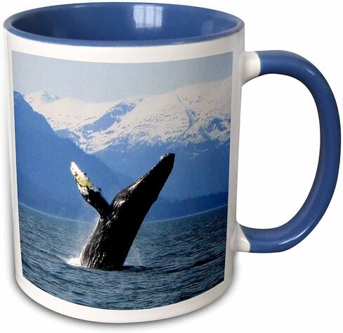 3dRose mug_21600_1 Humpback Whale Tosses and Turns in The Lynn Canal Southeastern Alaska Ceramic Mug, 11-Ounce in Saudi Arabia