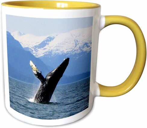 3dRose mug_21600_1 Humpback Whale Tosses and Turns in The Lynn Canal Southeastern Alaska Ceramic Mug, 11-Ounce in Saudi Arabia