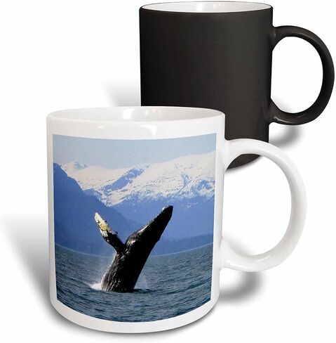 3dRose mug_21600_1 Humpback Whale Tosses and Turns in The Lynn Canal Southeastern Alaska Ceramic Mug, 11-Ounce in Saudi Arabia