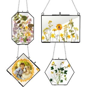 4 Pcs Glass Picture Frame for DIY Pressed Flower,Golden Hanging Photo Frame Clear Glass Artwork Display Frame with Chain for Dried Plant Gallery Wall Decor DIY Home Wall Art (Black)