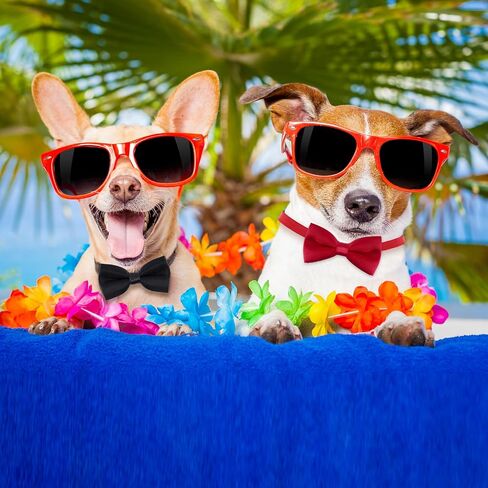 choyaxo Dog Bow Tie Dog Bows for Small Pet Dogs Cat Bowtie Wedding Birthday Graduation Party Accessories in Saudi Arabia