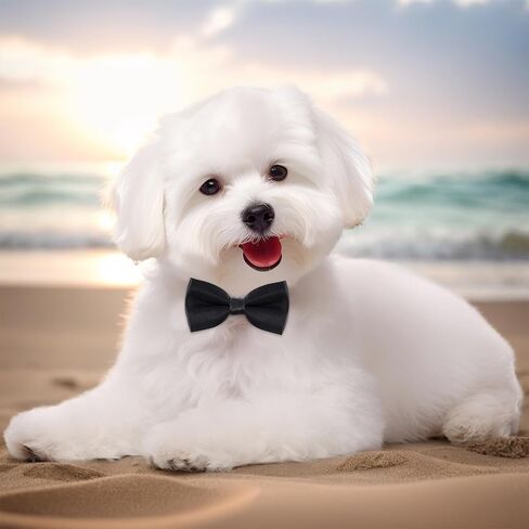 choyaxo Dog Bow Tie Dog Bows for Small Pet Dogs Cat Bowtie Wedding Birthday Graduation Party Accessories in Saudi Arabia