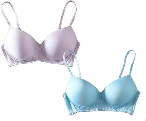 2Pcs Women Silk Bra Ultra Soft Underwear Wireless Bra Breathable Smooth T-Shirt Bra in Saudi Arabia