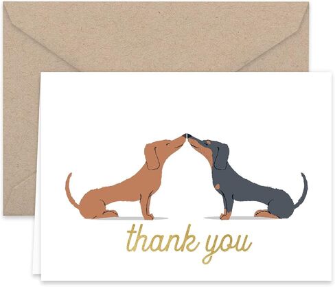 Paper Frenzy Dogs Puppies Thank You Note Card Collection 25 pack with Kraft Envelopes in Saudi Arabia