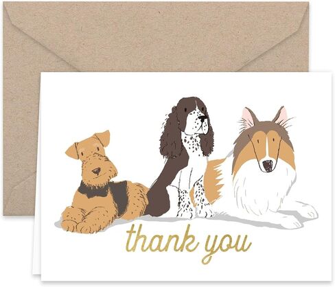 Paper Frenzy Dogs Puppies Thank You Note Card Collection 25 pack with Kraft Envelopes in Saudi Arabia