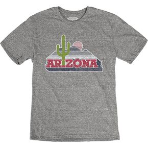 Men's Tri-Blend T-Shirt Vintage Retro Heather Gray