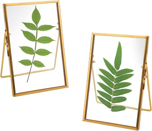 TLBTEK 2 Pcs 5x7 inch Desk double glass Photo frames kit,Gold brass metal Picture Frame vertical for Pressed Flowers,Clear DIY Vintage Artwork Display Frame in Saudi Arabia