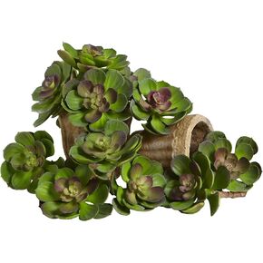 Nearly Natural 5in. Echeveria Succulent Plant (Set of 12), Burgundy