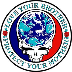Grateful D Skull Sticker Love Your Brother Protect Your Mother Decals for Cars Halloween Bumper Lockers Laptop Guitar Refrigerator Vehicle Window Steal Your Face (4x4)