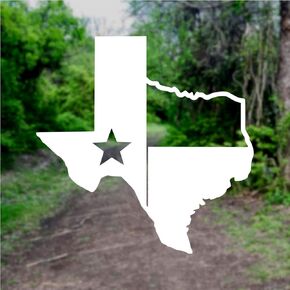 TX Flag Shaped Like Texas [Pick Color] Vinyl Transfer Sticker for Laptop/Car/Truck/Window/Bumper (3" x 3", Black)