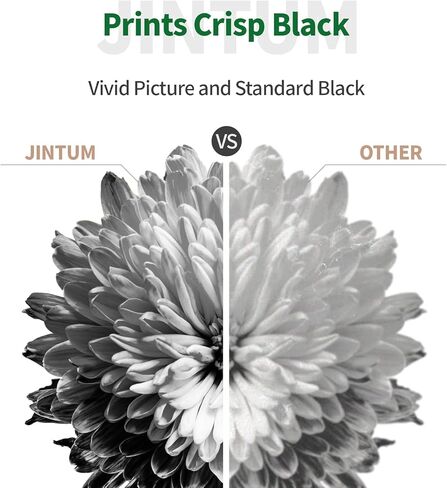 استبدال خرطوشة الحبر المعاد تصنيعها JINTUM 212XL لخراطيش حبر Epson 212 لطابعة Expression Home XP-4100 XP-4105 Workforce WF-2850 WF-2830 (2 أسود) in Kuwait