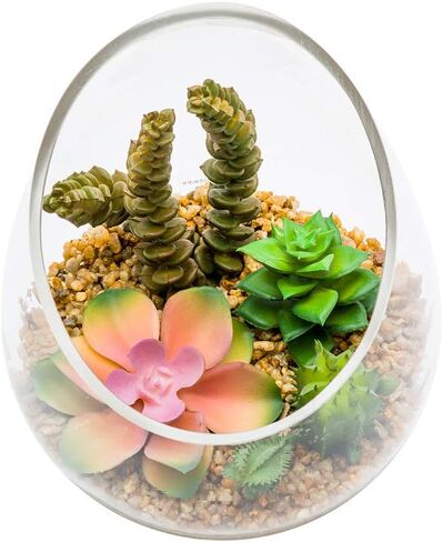 4.7 x 5 Inch Faux Succulent, 1 Realistic Artificial Succulent - In Incline Edge Glass Terrarium, Use As Table Decor, Shelf Decor, Or Centerpiece, Plastic Fake Desk Plant, For Homes Or Weddings in Saudi Arabia