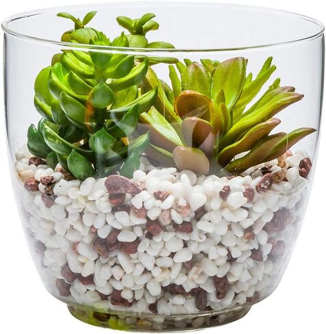 4.7 x 5 Inch Faux Succulent, 1 Realistic Artificial Succulent - In Incline Edge Glass Terrarium, Use As Table Decor, Shelf Decor, Or Centerpiece, Plastic Fake Desk Plant, For Homes Or Weddings in Saudi Arabia