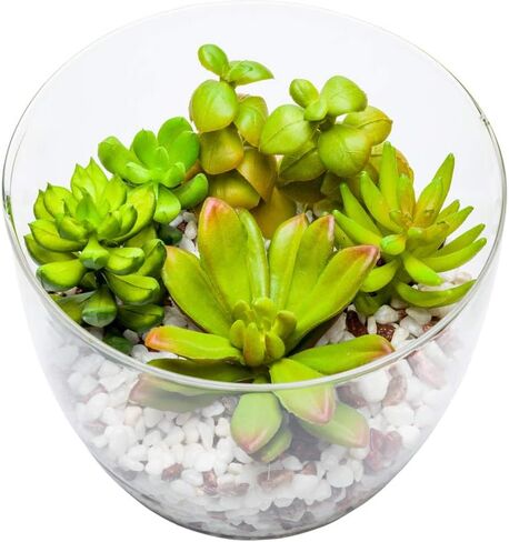 4.7 x 5 Inch Faux Succulent, 1 Realistic Artificial Succulent - In Incline Edge Glass Terrarium, Use As Table Decor, Shelf Decor, Or Centerpiece, Plastic Fake Desk Plant, For Homes Or Weddings in Saudi Arabia