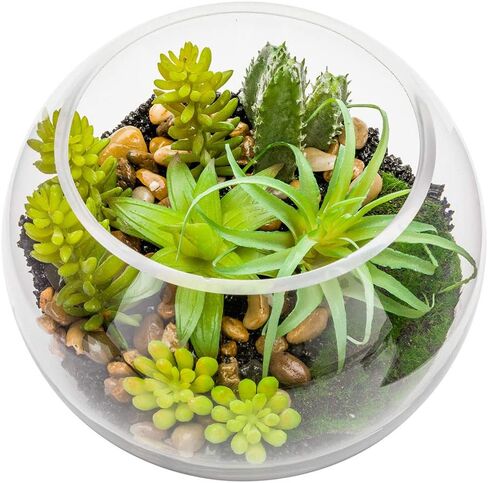 4.7 x 5 Inch Faux Succulent, 1 Realistic Artificial Succulent - In Incline Edge Glass Terrarium, Use As Table Decor, Shelf Decor, Or Centerpiece, Plastic Fake Desk Plant, For Homes Or Weddings in Saudi Arabia