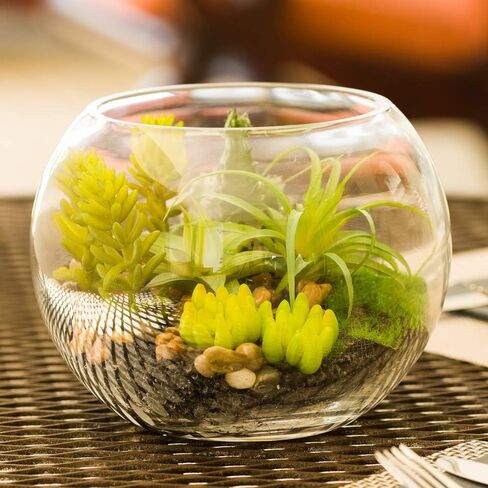4.7 x 5 Inch Faux Succulent, 1 Realistic Artificial Succulent - In Incline Edge Glass Terrarium, Use As Table Decor, Shelf Decor, Or Centerpiece, Plastic Fake Desk Plant, For Homes Or Weddings in Saudi Arabia