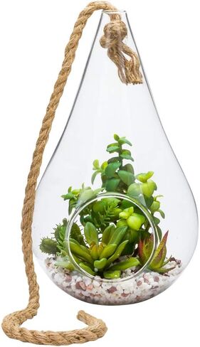 4.7 x 5 Inch Faux Succulent, 1 Realistic Artificial Succulent - In Incline Edge Glass Terrarium, Use As Table Decor, Shelf Decor, Or Centerpiece, Plastic Fake Desk Plant, For Homes Or Weddings in Saudi Arabia