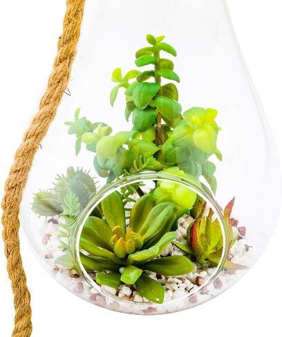 4.7 x 5 Inch Faux Succulent, 1 Realistic Artificial Succulent - In Incline Edge Glass Terrarium, Use As Table Decor, Shelf Decor, Or Centerpiece, Plastic Fake Desk Plant, For Homes Or Weddings in Saudi Arabia
