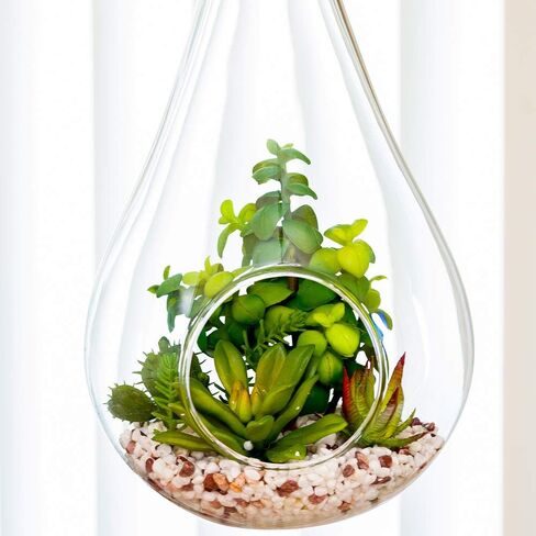 4.7 x 5 Inch Faux Succulent, 1 Realistic Artificial Succulent - In Incline Edge Glass Terrarium, Use As Table Decor, Shelf Decor, Or Centerpiece, Plastic Fake Desk Plant, For Homes Or Weddings in Saudi Arabia